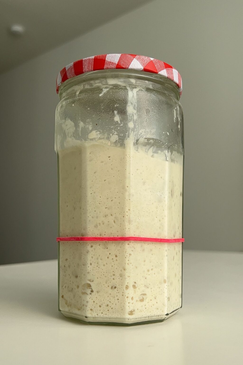 Wild Yeast Starter No Discard Sourdough Okonomi Kitchen wild-yeast-starter-no-discard-sourdough-okonomi-kitchen