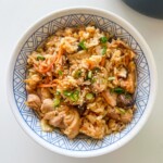 rice cooker teriyaki chicken rice in a bowl