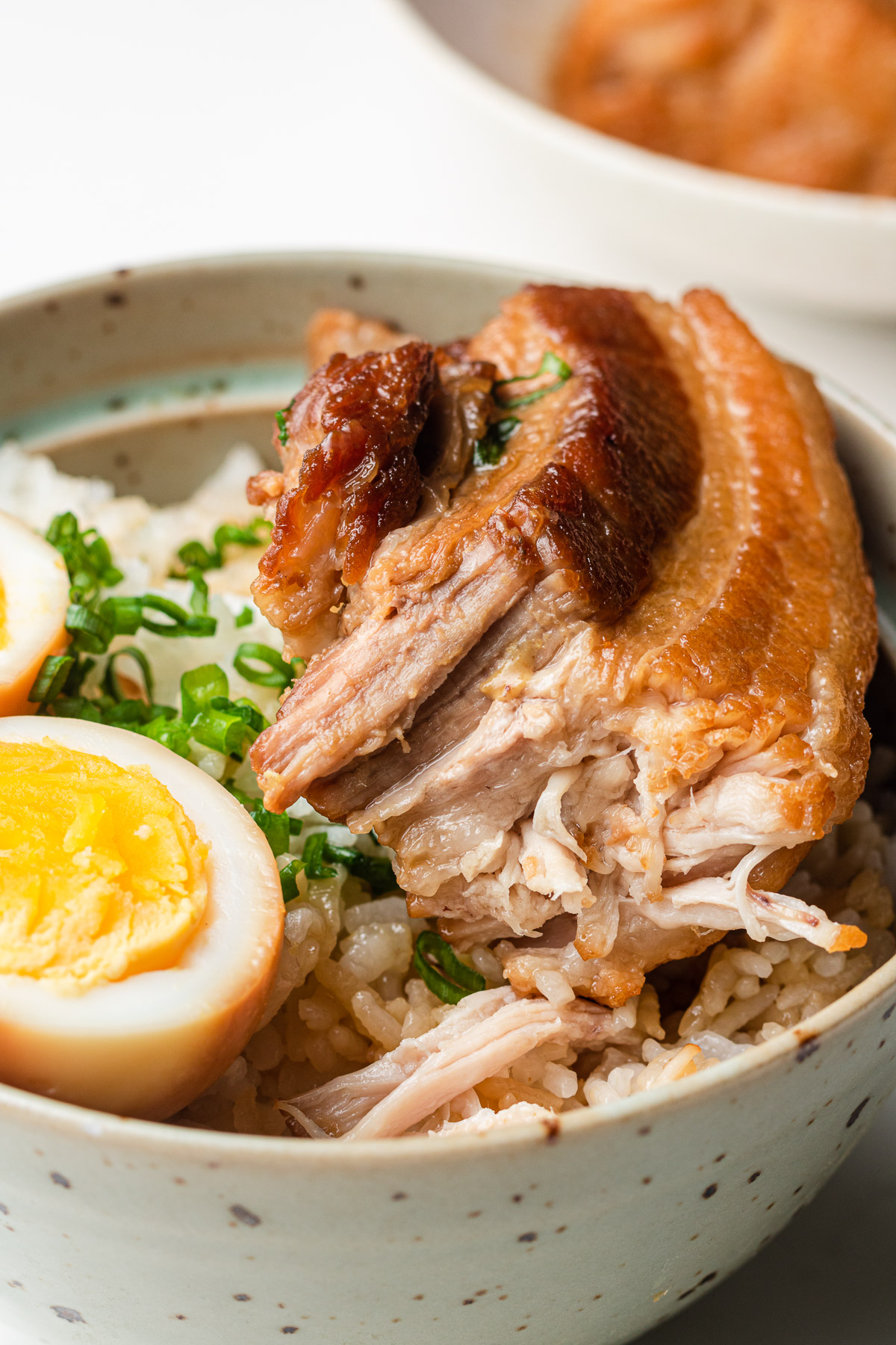 soft and tender pork belly over rice with eggs